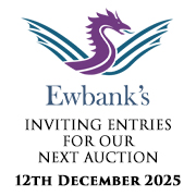 Ewbank’s | Cars & Motorcycles | 3rd October 2025 SQ (Live Client)