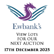 Ewbank’s | Cars & Motorcycles | 17 December 2025 SQ (Live Client)